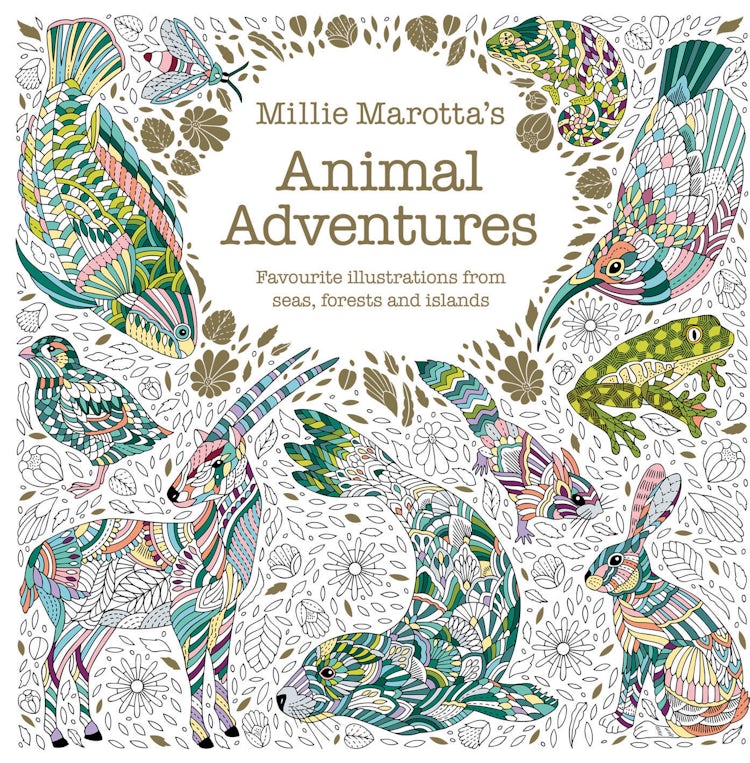 Cover image for Millie Marotta's Animal Adventures: Favourite Illustrations from Seas, Forests and Islands, isbn: 9781849948432