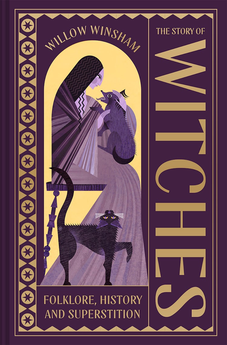 Cover image for The Story of Witches: Folklore, History and Superstition, isbn: 9781849949064