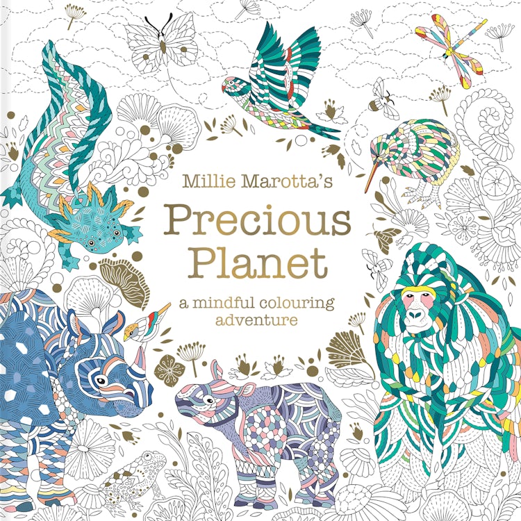 Cover image for Millie Marotta's Precious Planet, isbn: 9781849949095