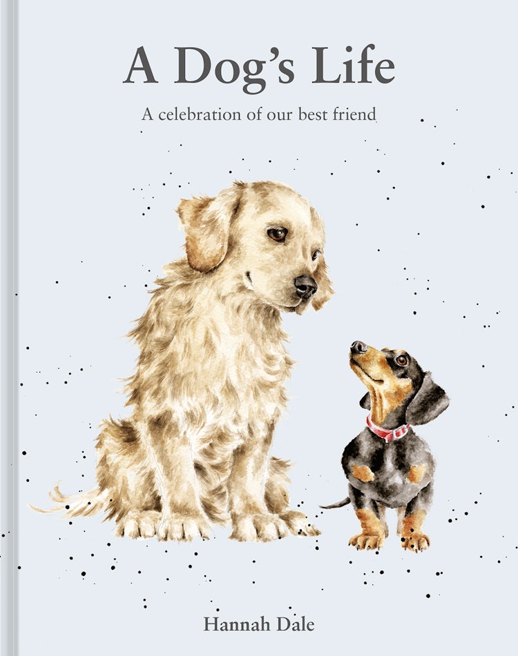 Cover image for A Dog's Life: A celebration of our best friend, isbn: 9781849949255