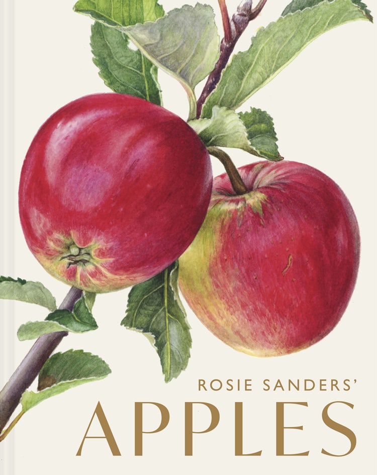 Cover image for Rosie Sanders' Apples, isbn: 9781849949729