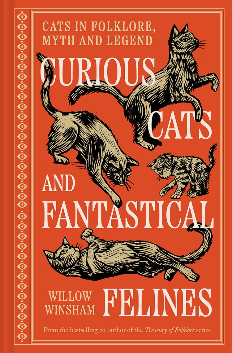 Cover image for Curious Cats and Fantastical Felines, isbn: 9781849949736