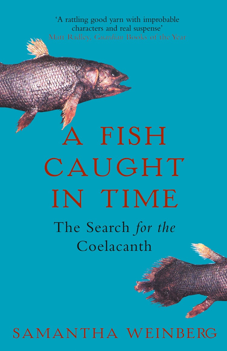 Cover image for A Fish Caught in Time, isbn: 9781857029079