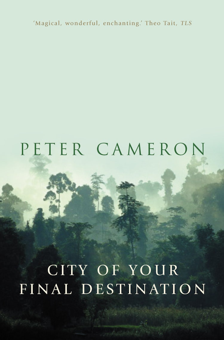 Cover image for City of Your Final Destination, isbn: 9781857029734
