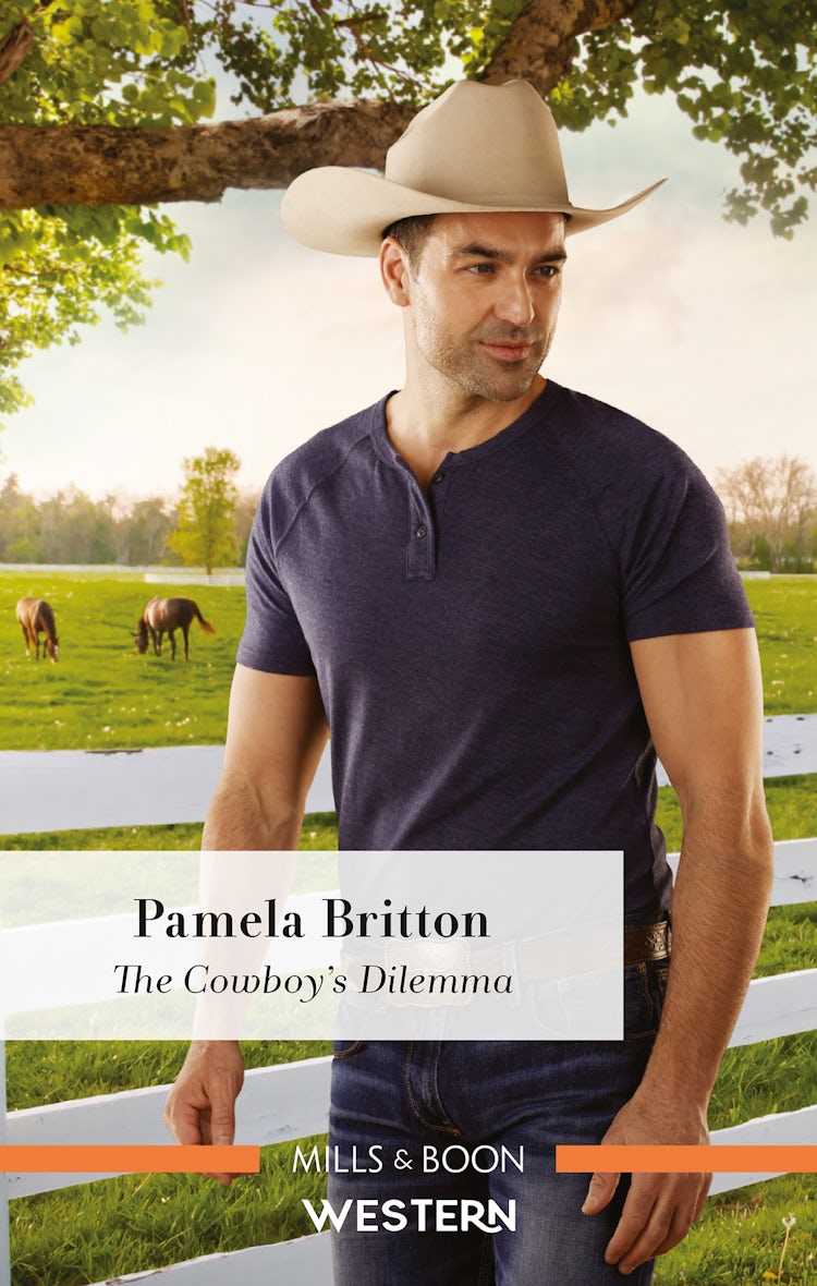 Cover image for The Cowboy's Dilemma, isbn: 9781867200376