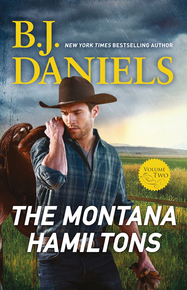 Cover image for The Montana Hamiltons - Vol 2/Lucky Shot/Hard Rain, isbn: 9781867200642