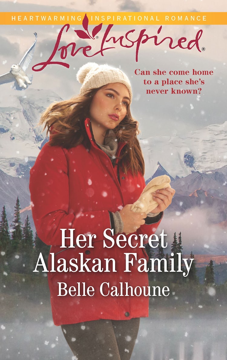 Cover image for Her Secret Alaskan Family, isbn: 9781867200680