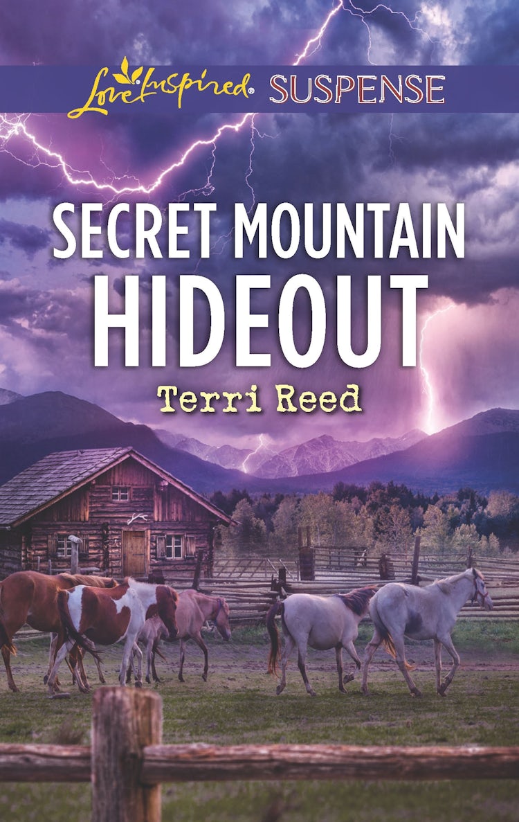 Cover image for Secret Mountain Hideout, isbn: 9781867200741