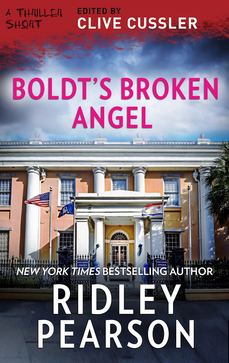 Cover image for Boldt's Broken Angel, isbn: 9781867201182