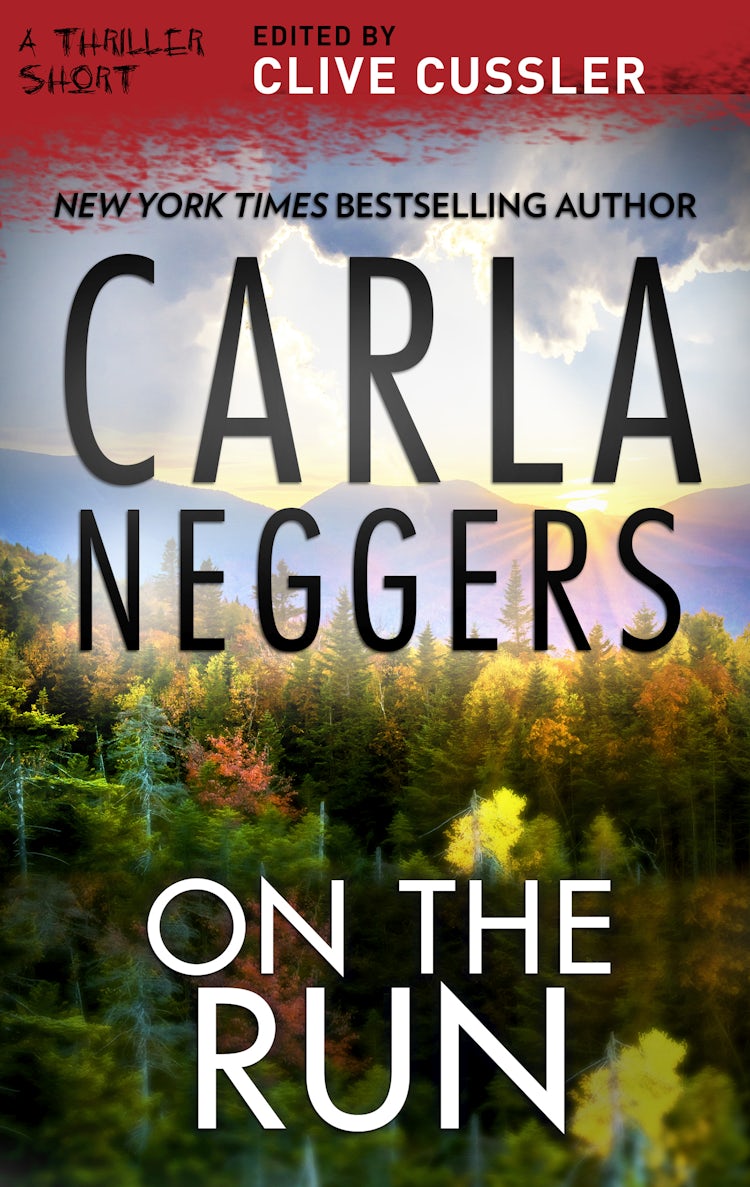 Cover image for On the Run, isbn: 9781867201281