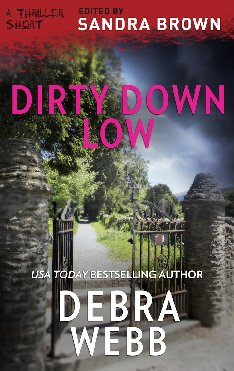 Cover image for Dirty Down Low, isbn: 9781867201526