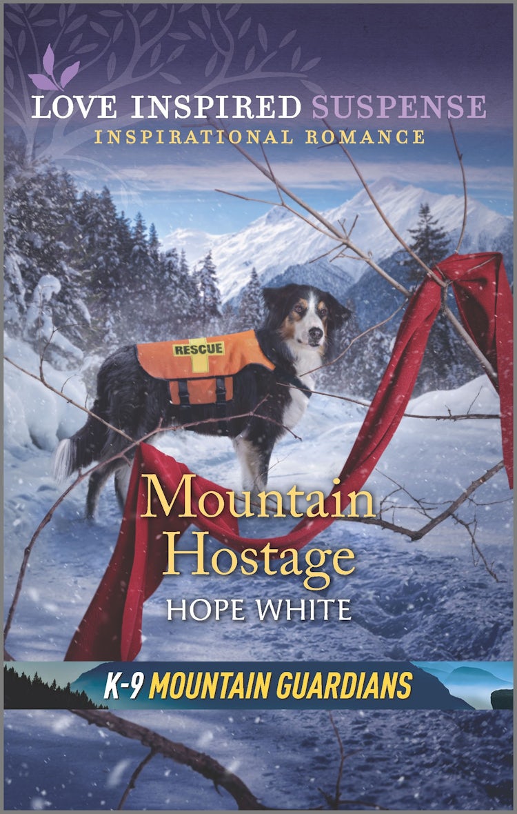 Cover image for Mountain Hostage, isbn: 9781867204039