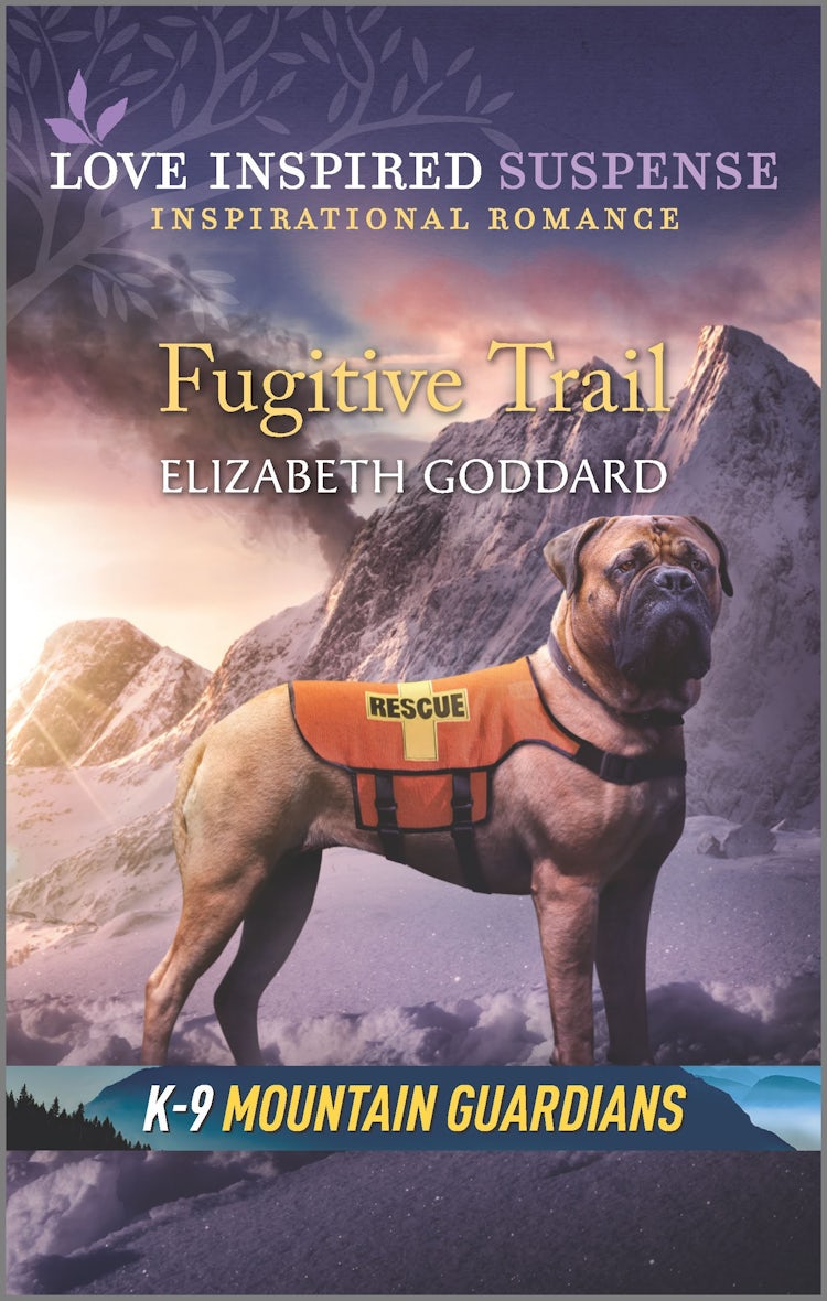 Cover image for Fugitive Trail, isbn: 9781867205777