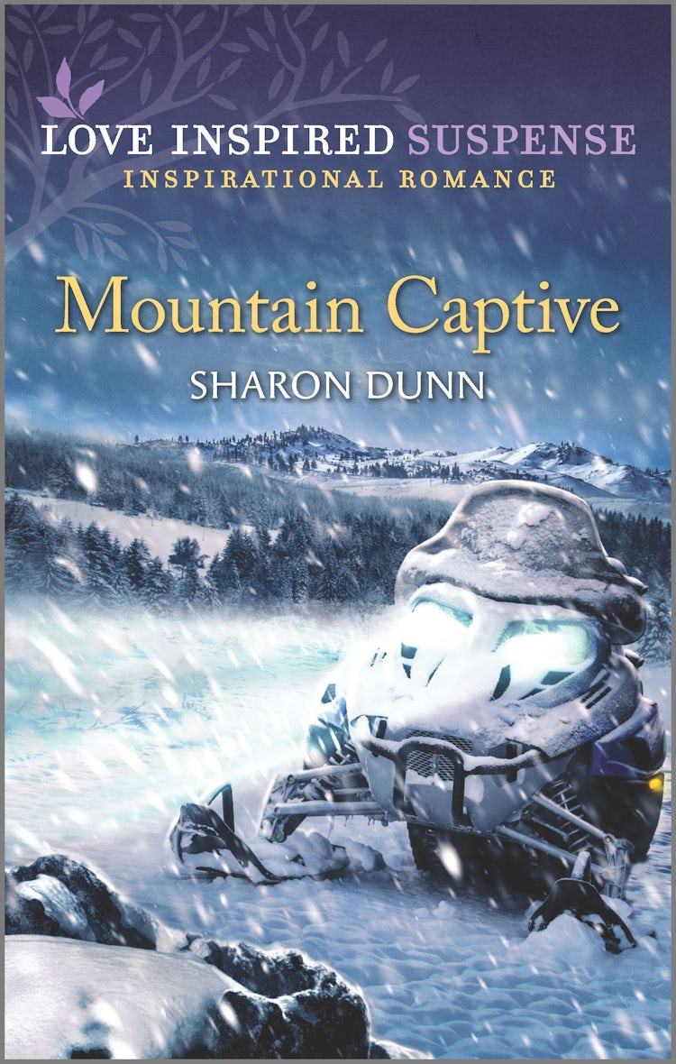 Cover image for Mountain Captive, isbn: 9781867205807