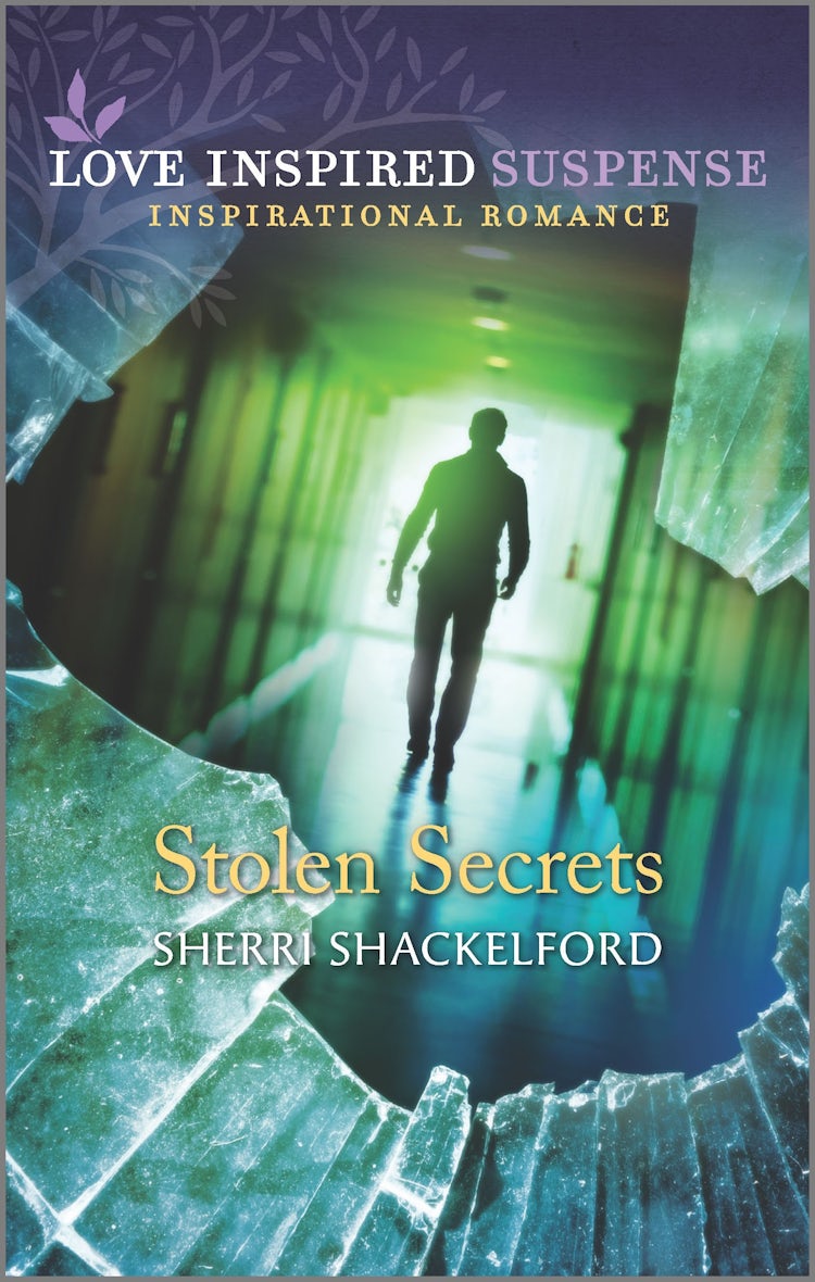 Cover image for Stolen Secrets, isbn: 9781867205814