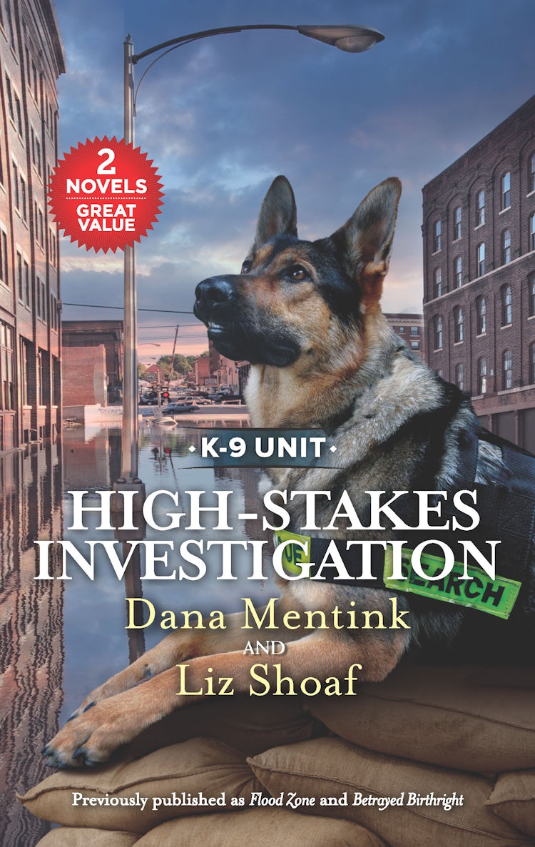 Cover image for High-Stakes Investigation/Flood Zone/Betrayed Birthright, isbn: 9781867205869