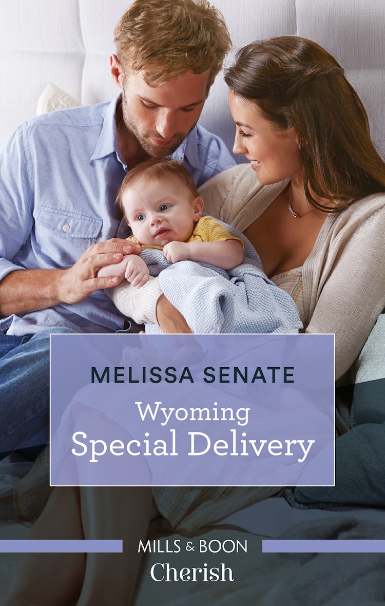 Cover image for Wyoming Special Delivery, isbn: 9781867206651