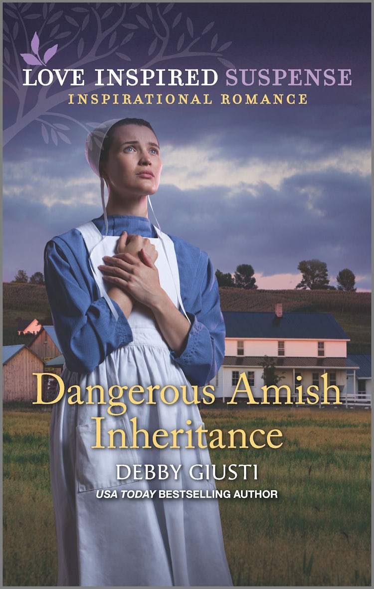 Cover image for Dangerous Amish Inheritance, isbn: 9781867207108