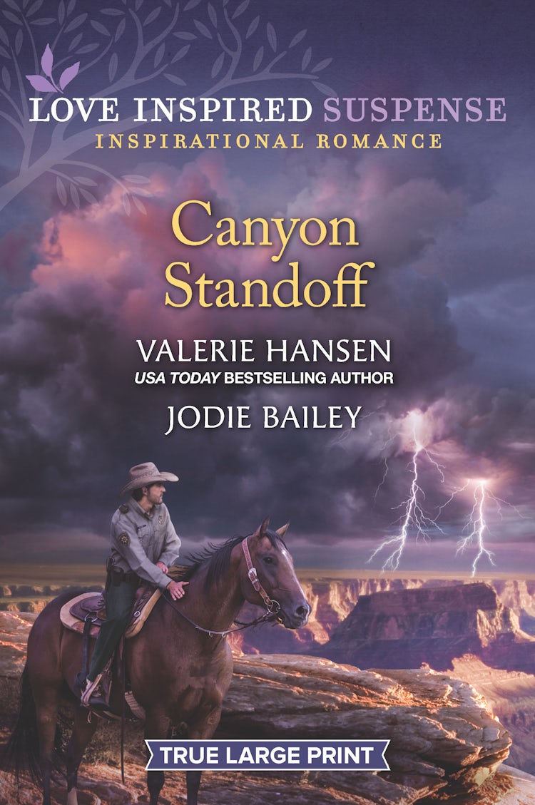 Cover image for Canyon Standoff/Canyon Under Siege/Missing in the Wilderness, isbn: 9781867207115