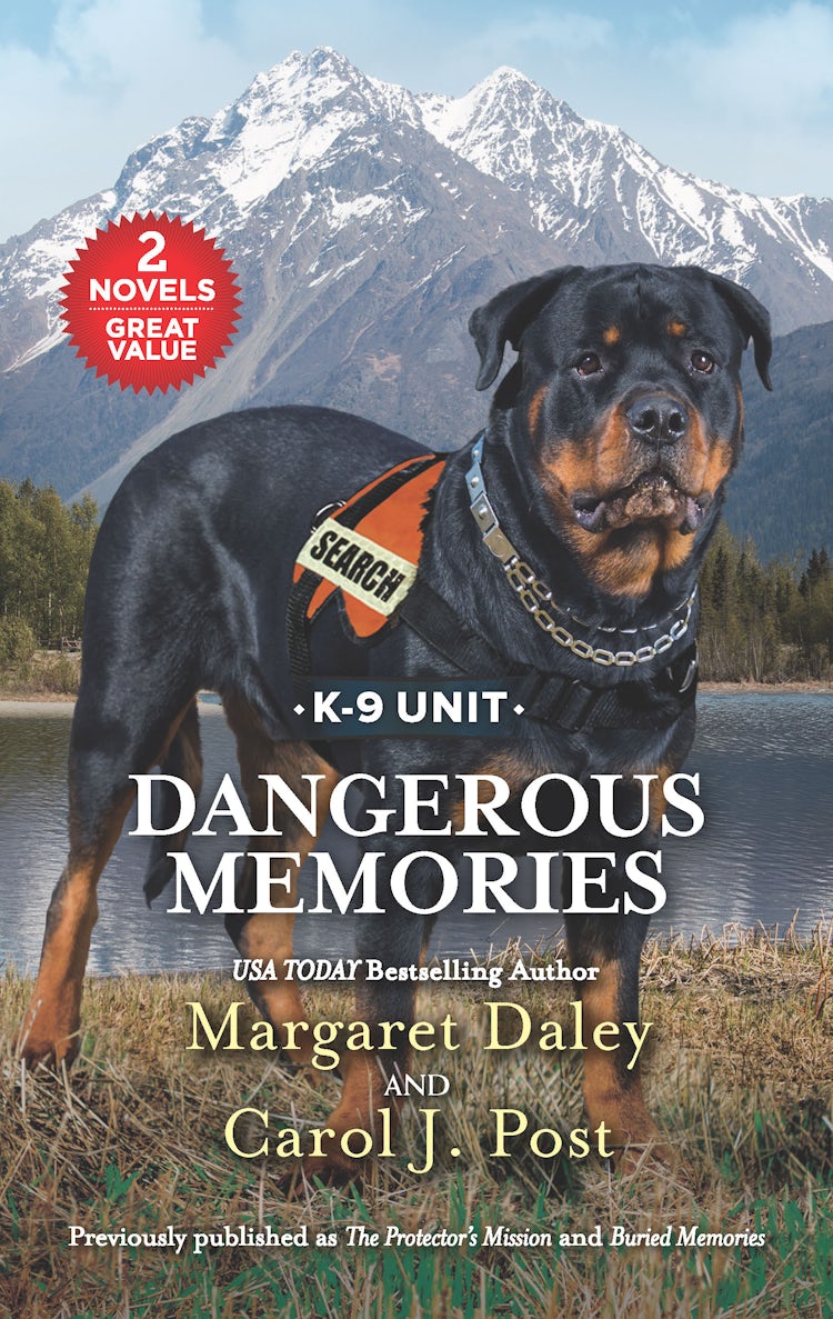 Cover image for Dangerous Memories/The Protector's Mission/Buried Memories, isbn: 9781867207177
