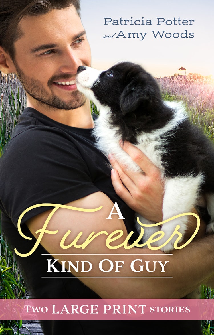 Cover image for A Furever Kind Of Guy/The Soldier's Promise/An Officer and Her Gentleman, isbn: 9781867209577