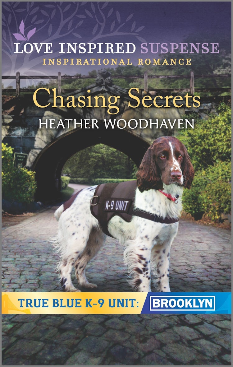 Cover image for Chasing Secrets, isbn: 9781867209706