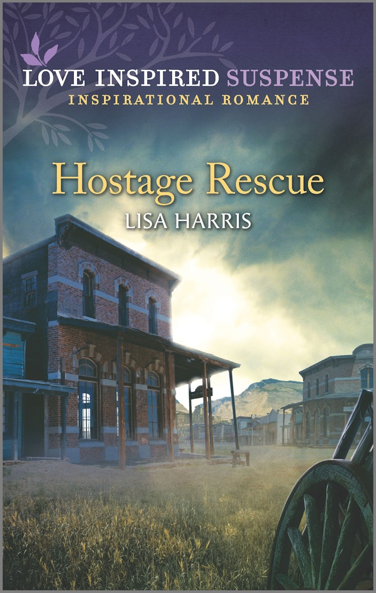 Cover image for Hostage Rescue, isbn: 9781867209744