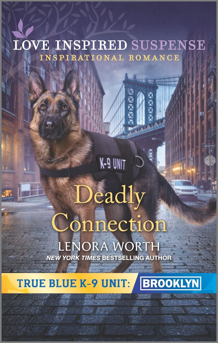 Cover image for Deadly Connection, isbn: 9781867211600