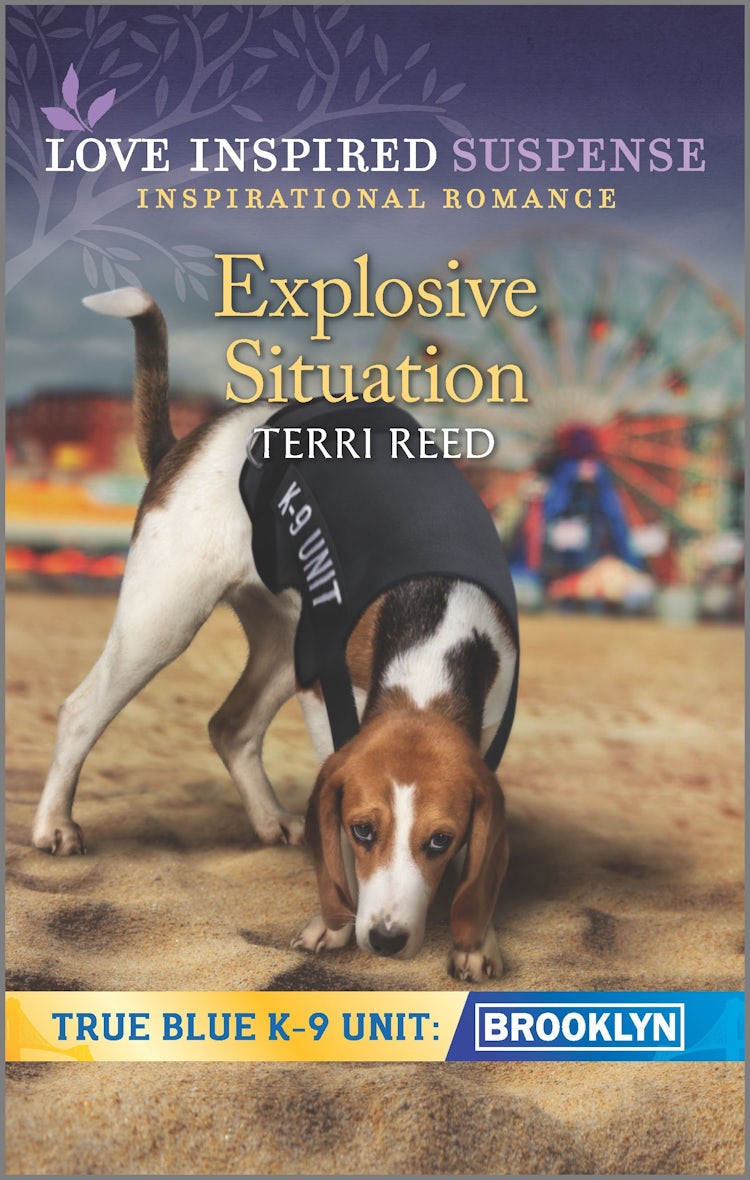 Cover image for Explosive Situation, isbn: 9781867214267