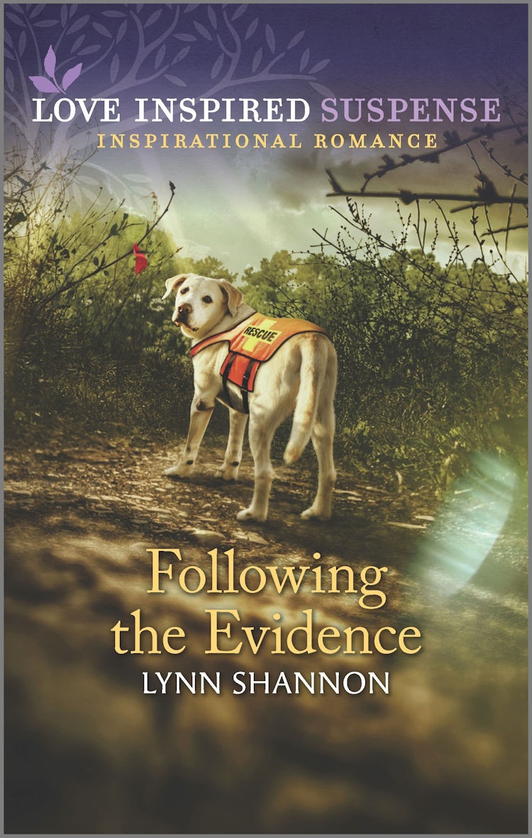 Cover image for Following the Evidence, isbn: 9781867214304