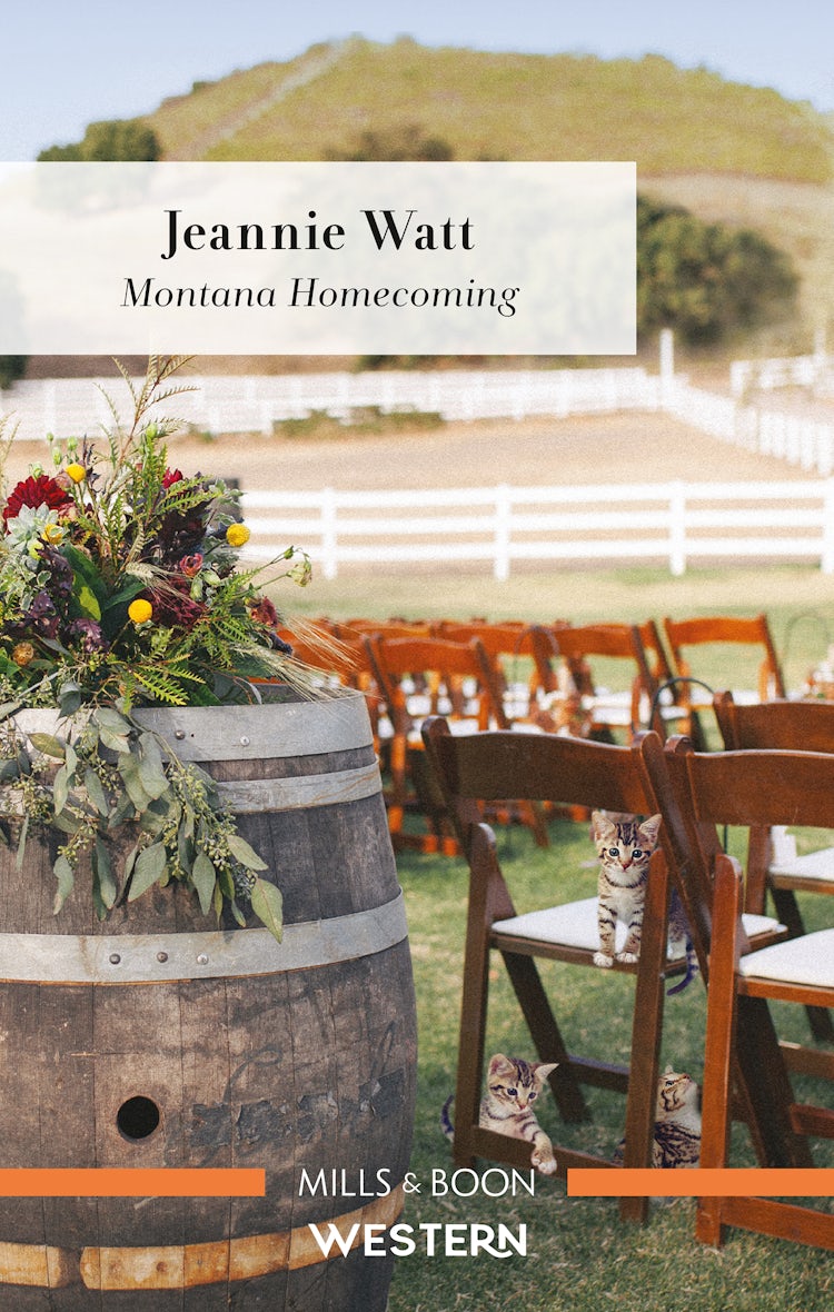 Cover image for Montana Homecoming, isbn: 9781867215561
