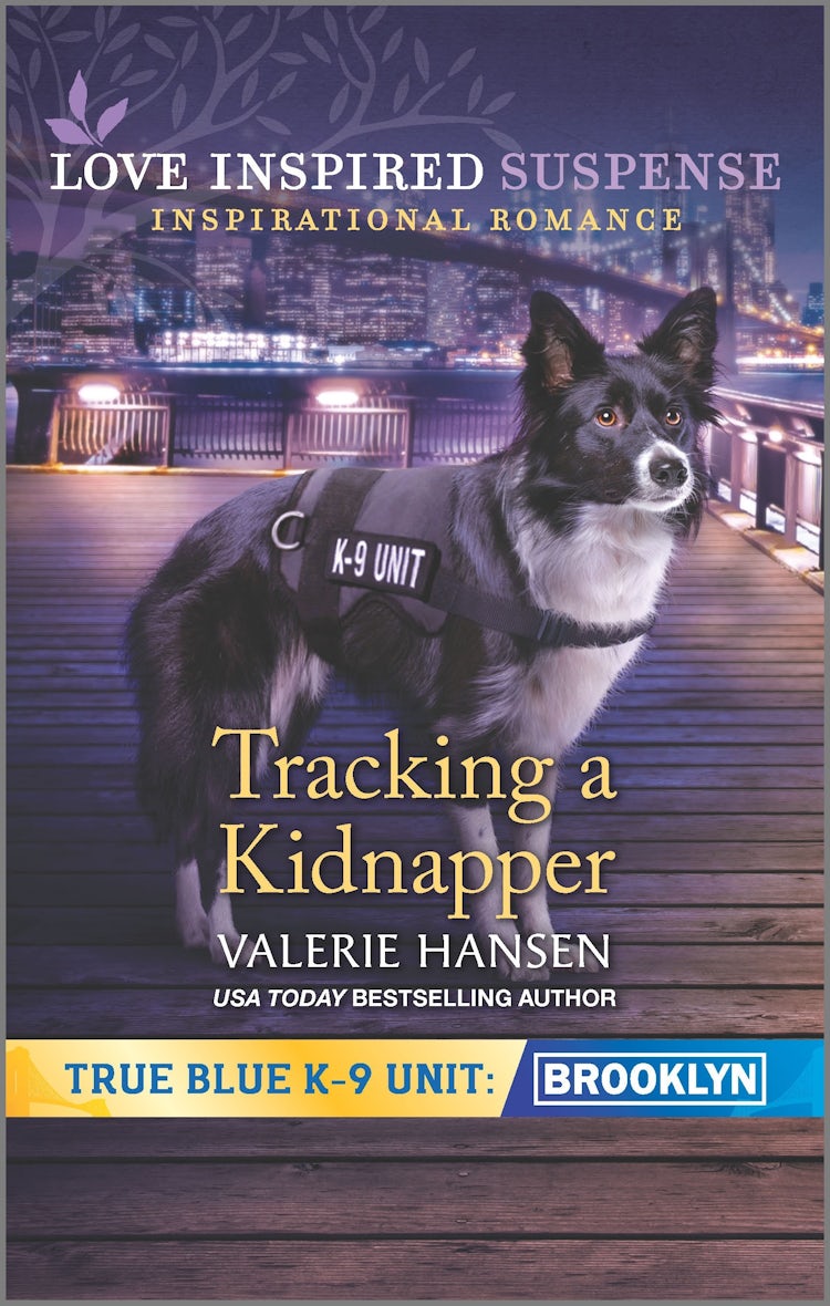 Cover image for Tracking a Kidnapper, isbn: 9781867216070