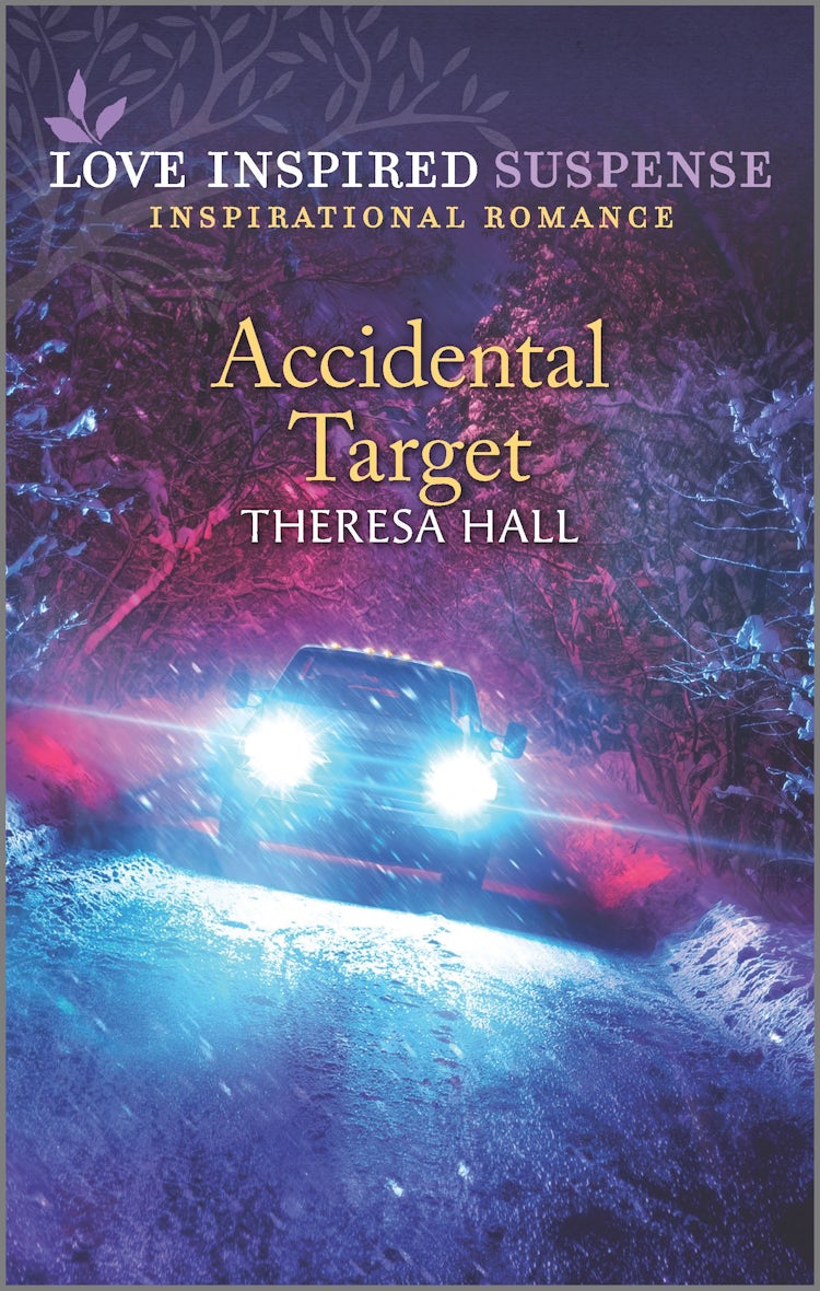 Cover image for Accidental Target, isbn: 9781867216117