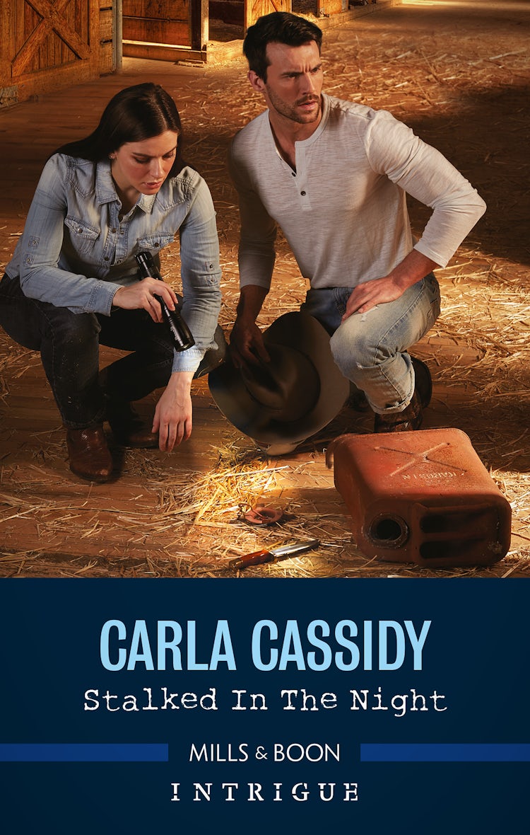 Cover image for Stalked in the Night, isbn: 9781867216926