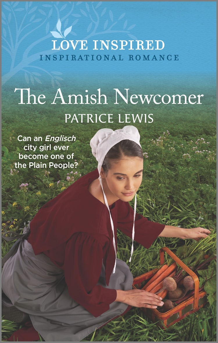 Cover image for The Amish Newcomer, isbn: 9781867219651