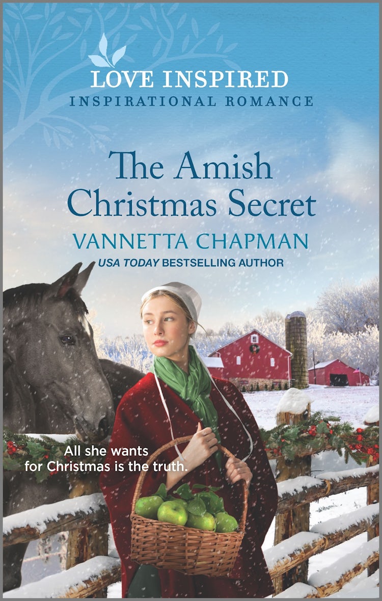 Cover image for The Amish Christmas Secret, isbn: 9781867219705