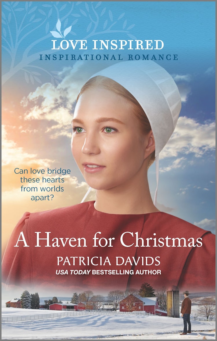 Cover image for A Haven for Christmas, isbn: 9781867219767