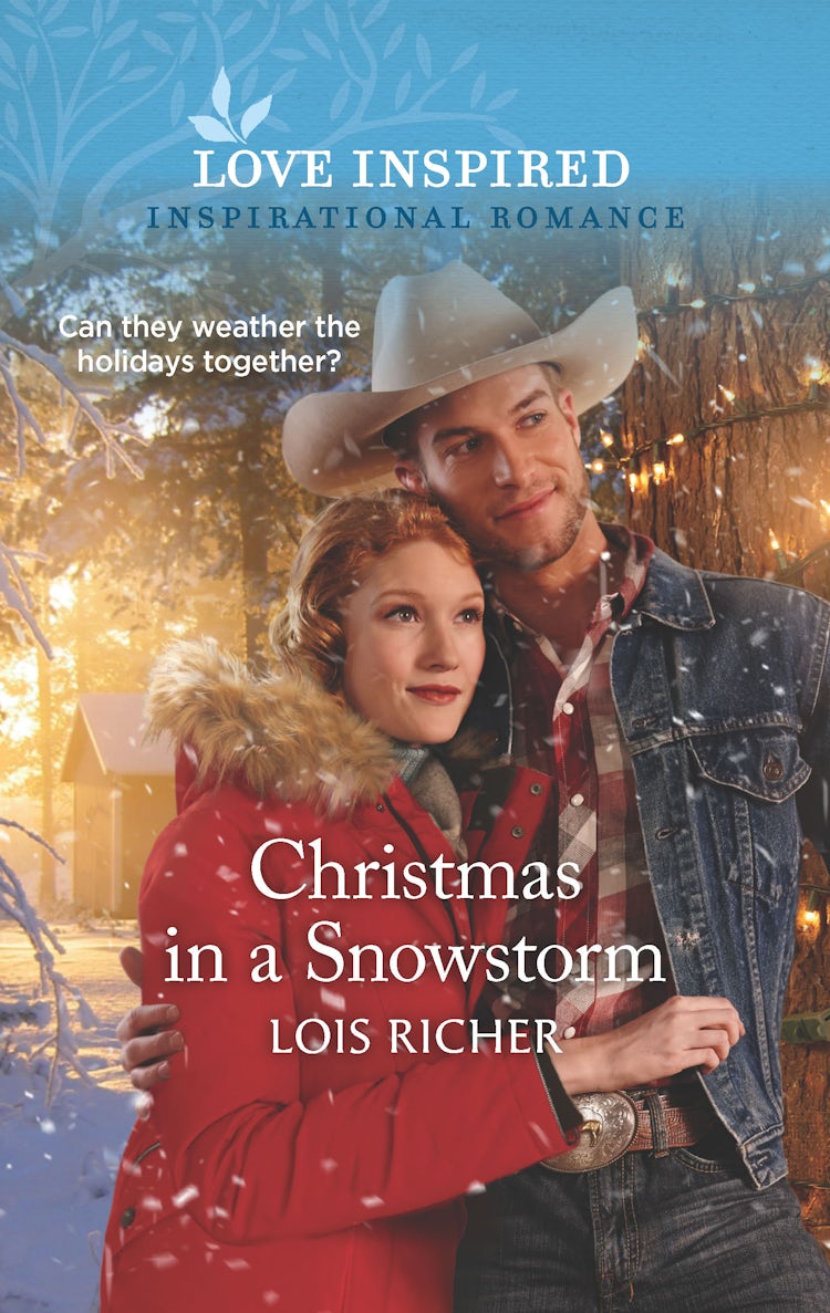 Cover image for Christmas in a Snowstorm, isbn: 9781867219910