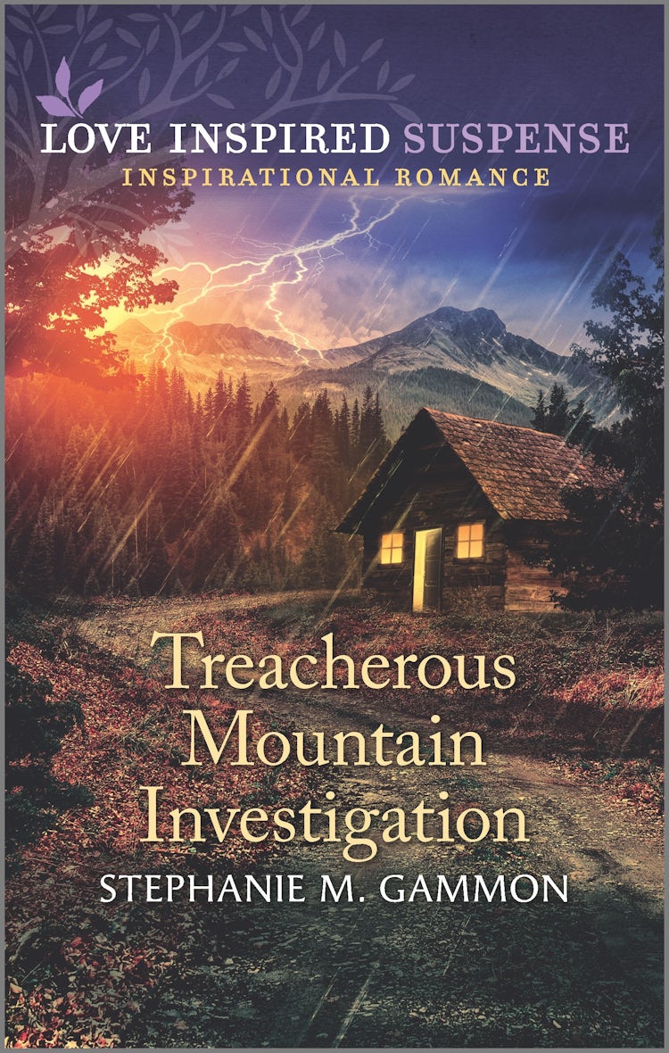 Cover image for Treacherous Mountain Investigation, isbn: 9781867219989