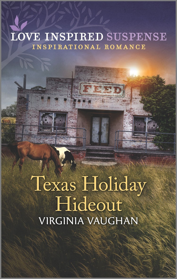 Cover image for Texas Holiday Hideout, isbn: 9781867220039