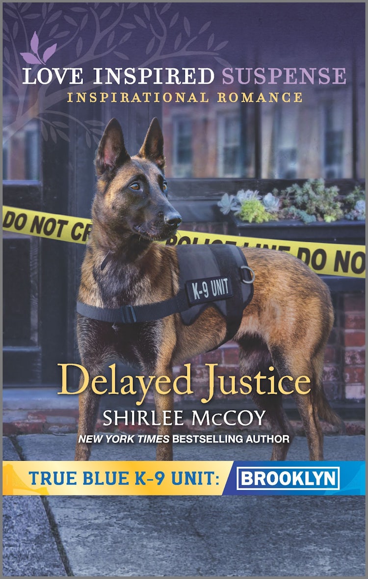 Cover image for Delayed Justice, isbn: 9781867220077