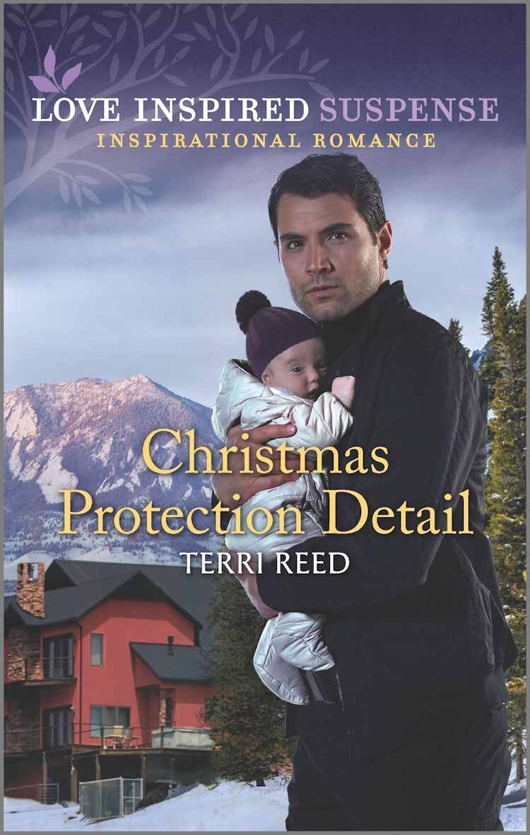 Cover image for Christmas Protection Detail, isbn: 9781867220190