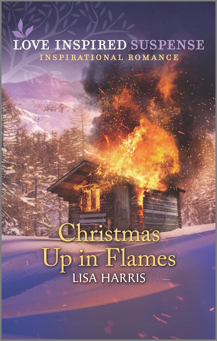 Cover image for Christmas Up in Flames, isbn: 9781867220213