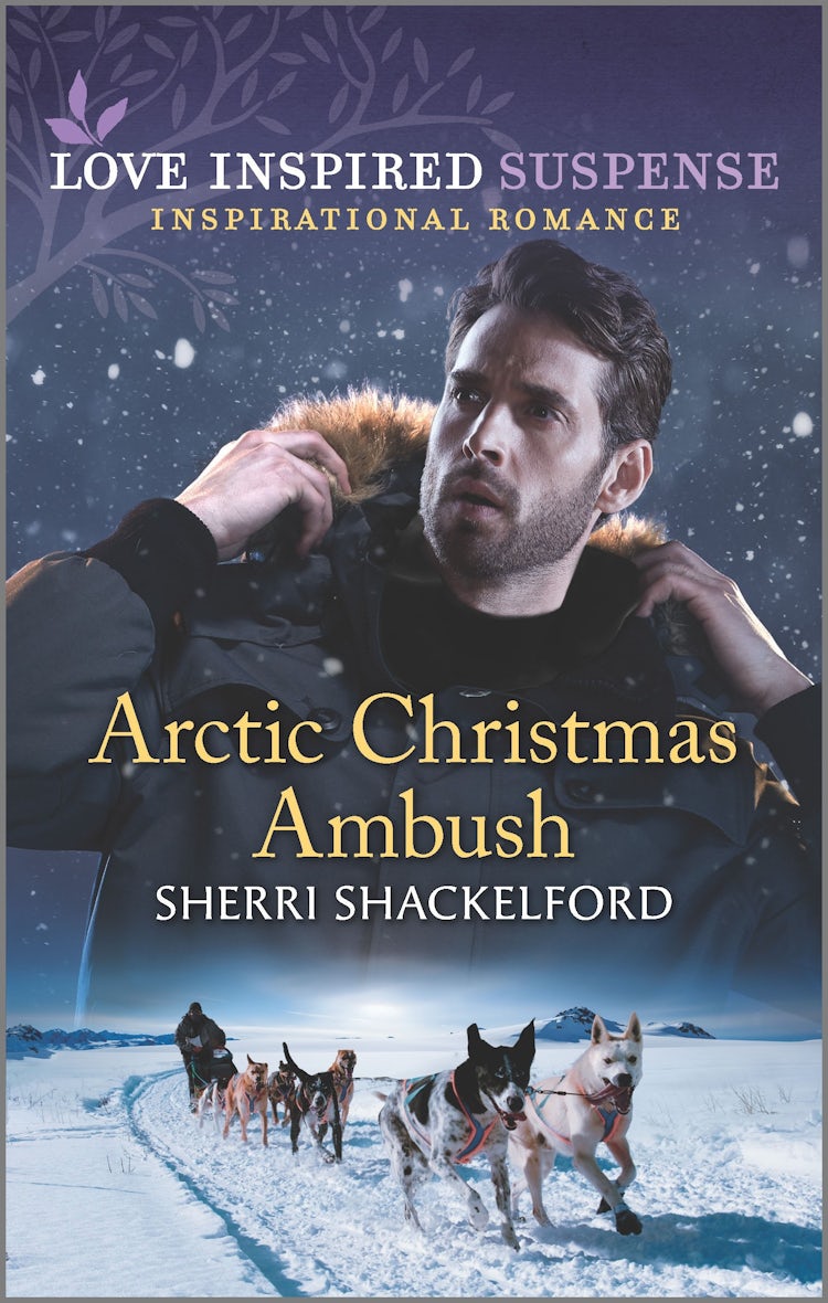 Cover image for Arctic Christmas Ambush, isbn: 9781867220220