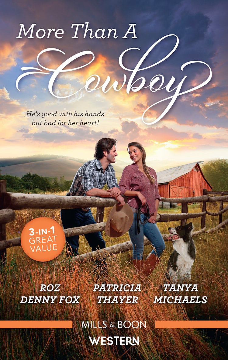 Cover image for More Than A Cowboy/Texas Dad/Luke: The Cowboy Heir/Tamed by a Texan, isbn: 9781867221487