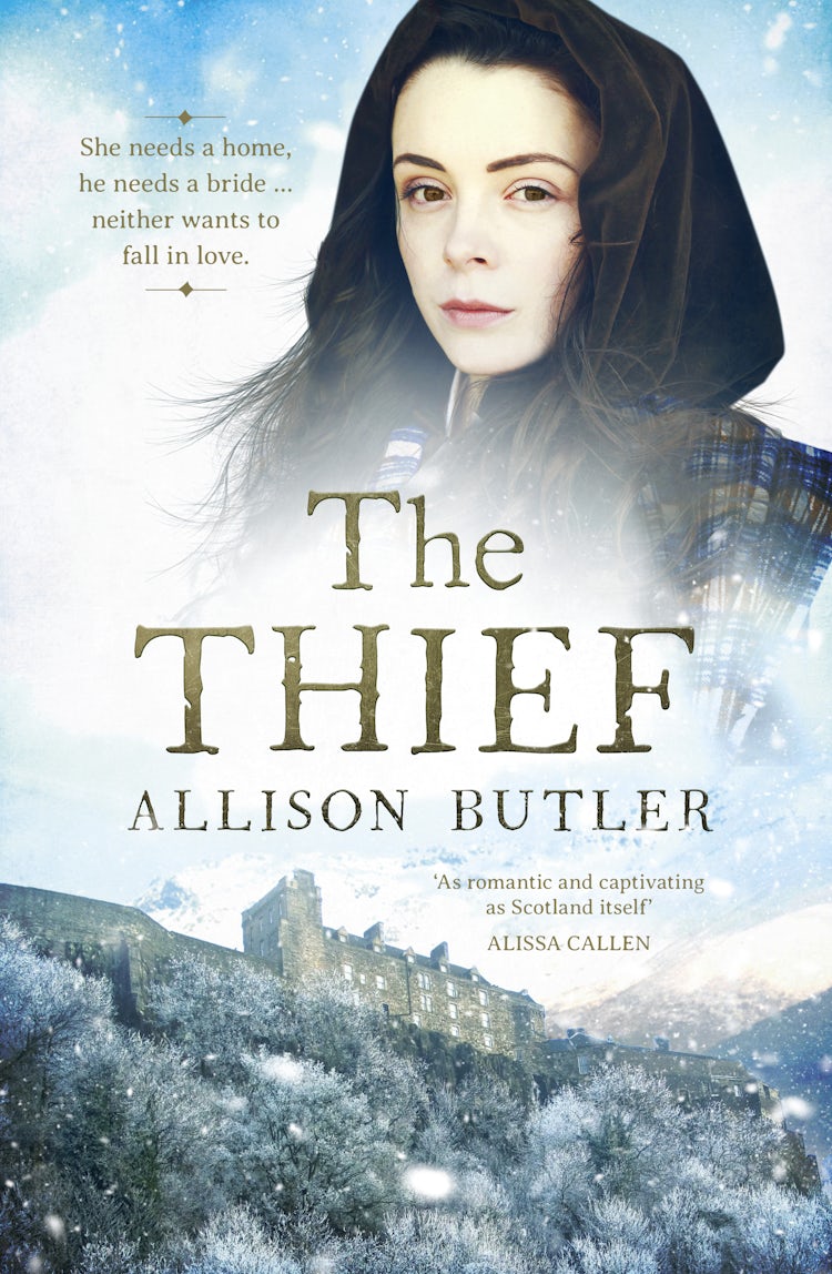 Cover image for The Thief, isbn: 9781867222385