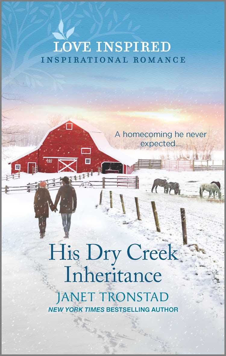 Cover image for His Dry Creek Inheritance, isbn: 9781867223528