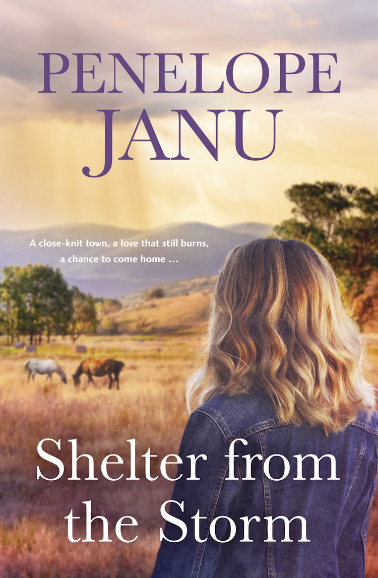 Cover image for Shelter from the Storm, isbn: 9781867223597
