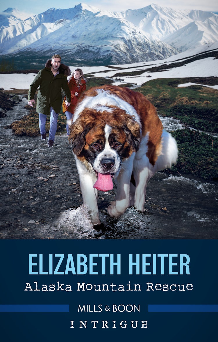 Cover image for Alaska Mountain Rescue, isbn: 9781867224273