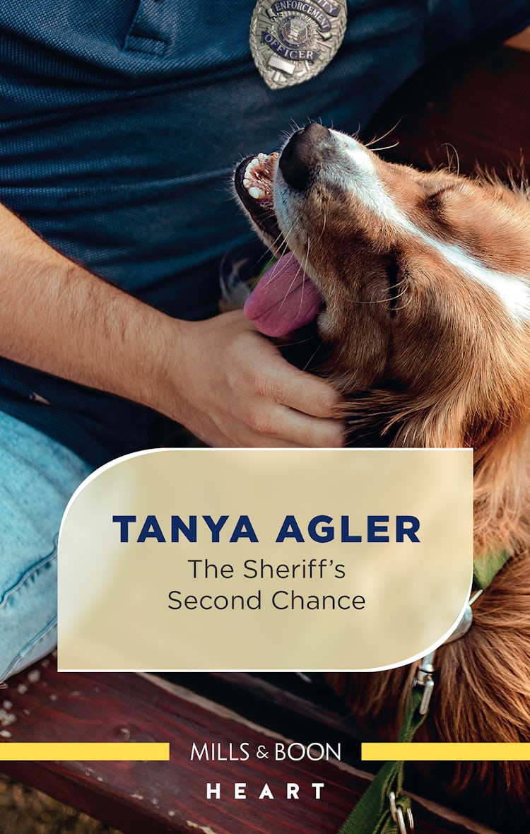 Cover image for The Sheriff's Second Chance, isbn: 9781867224341